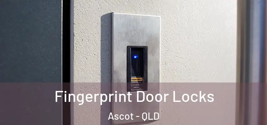 Fingerprint Door Locks Ascot - QLD