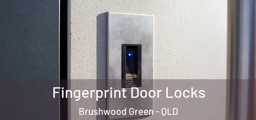  Fingerprint Door Locks Brushwood Green - QLD