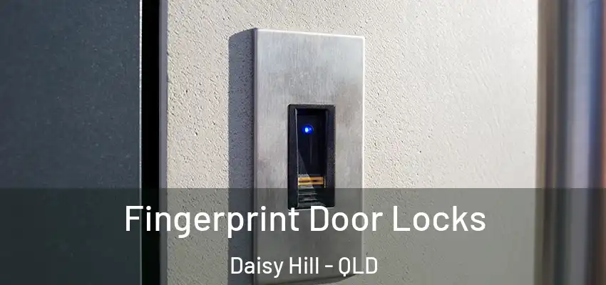 Fingerprint Door Locks Daisy Hill - QLD