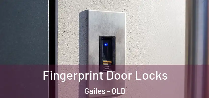 Fingerprint Door Locks Gailes - QLD