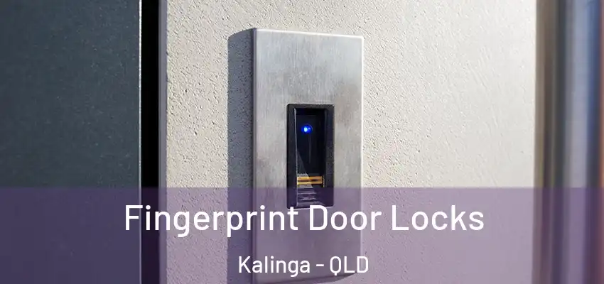 Fingerprint Door Locks Kalinga - QLD