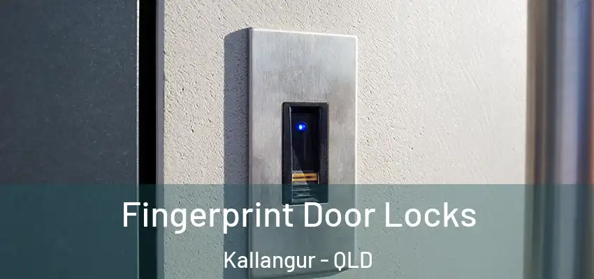 Fingerprint Door Locks Kallangur - QLD