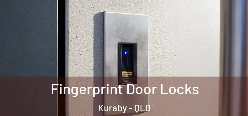 Fingerprint Door Locks Kuraby - QLD