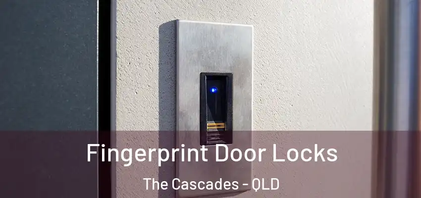  Fingerprint Door Locks The Cascades - QLD