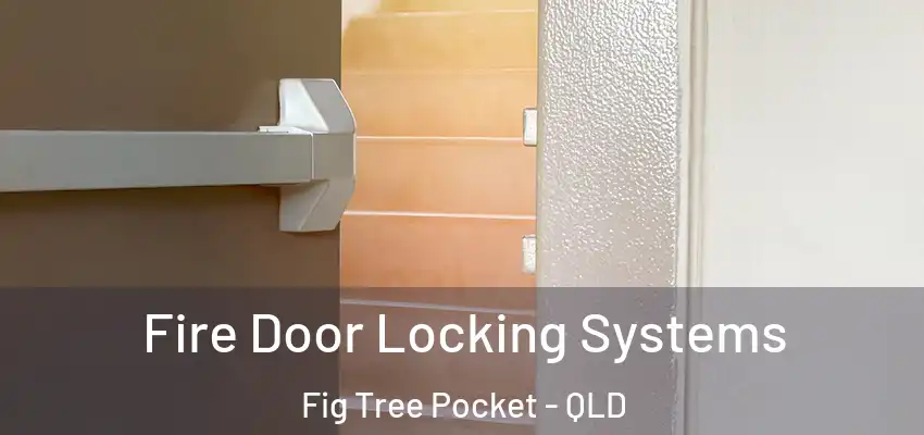 Fire Door Locking Systems Fig Tree Pocket - QLD