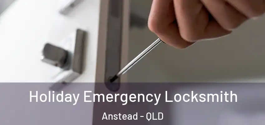  Holiday Emergency Locksmith Anstead - QLD