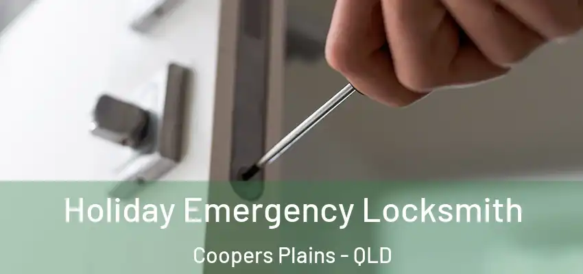 Holiday Emergency Locksmith Coopers Plains - QLD