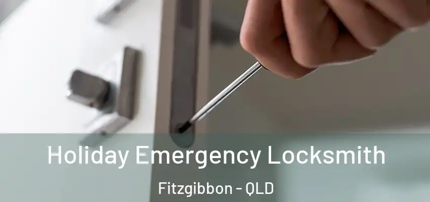 Holiday Emergency Locksmith Fitzgibbon - QLD