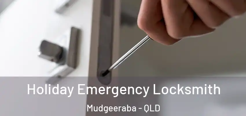  Holiday Emergency Locksmith Mudgeeraba - QLD