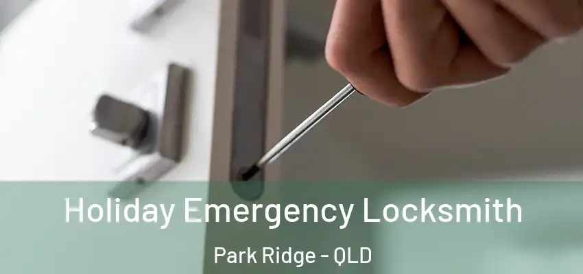  Holiday Emergency Locksmith Park Ridge - QLD