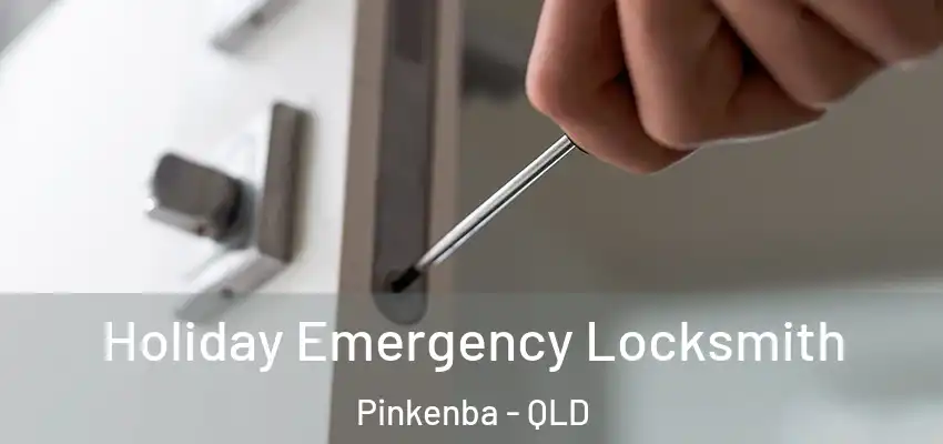  Holiday Emergency Locksmith Pinkenba - QLD