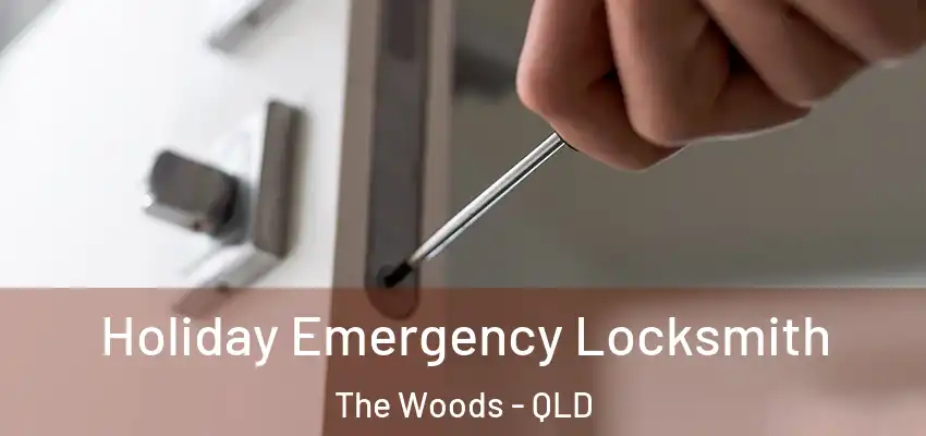 Holiday Emergency Locksmith The Woods - QLD