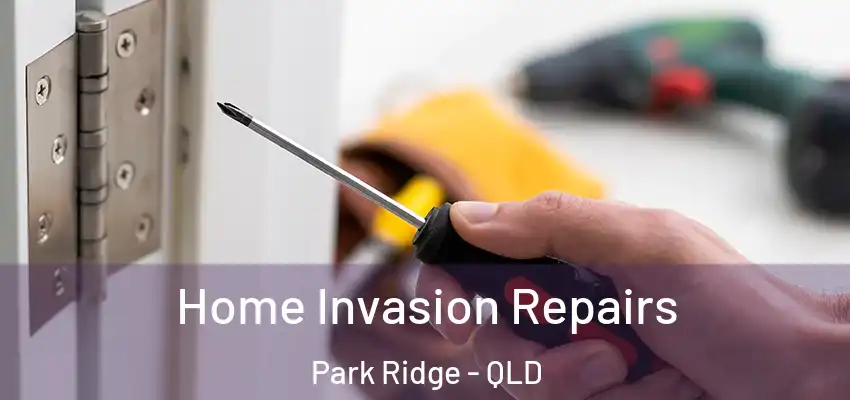  Home Invasion Repairs Park Ridge - QLD