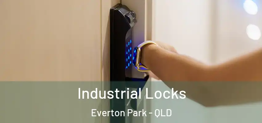 Industrial Locks Everton Park - QLD