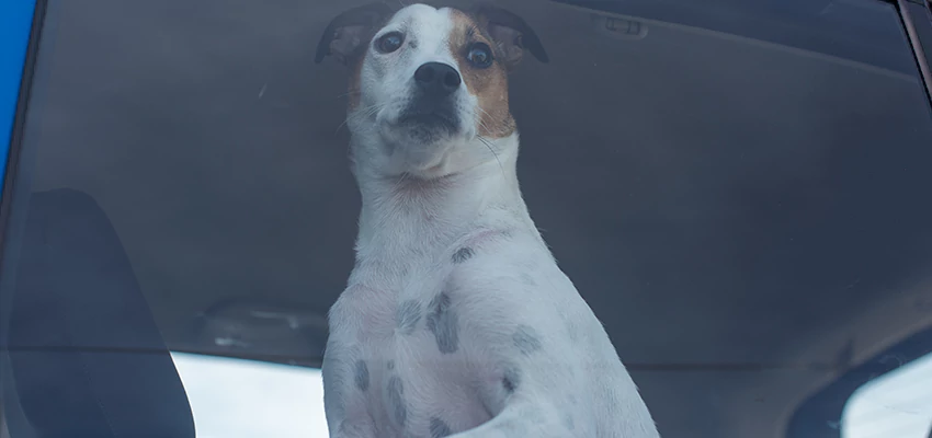 Car Lockout Solutions in Inala, QLD