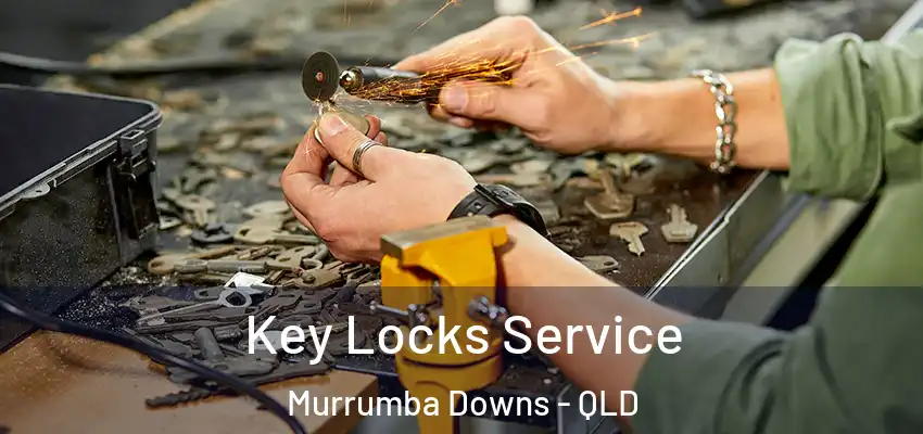  Key Locks Service Murrumba Downs - QLD