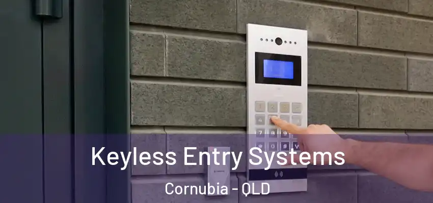 Keyless Entry Systems Cornubia - QLD