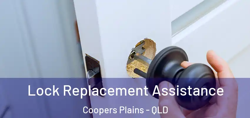 Lock Replacement Assistance Coopers Plains - QLD