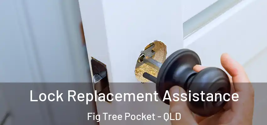 Lock Replacement Assistance Fig Tree Pocket - QLD