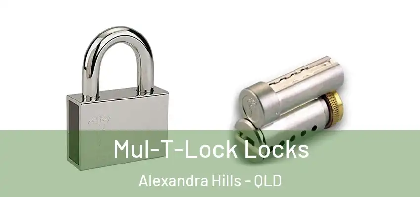 Mul-T-Lock Locks Alexandra Hills - QLD