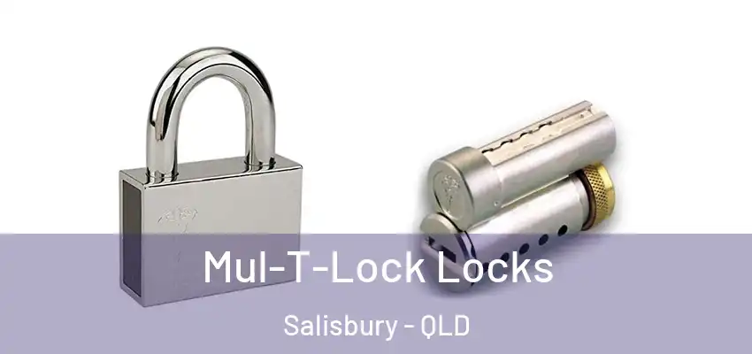  Mul-T-Lock Locks Salisbury - QLD